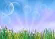 The green grasses