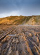 Flysch in La Vega beach, Asturias, Spain.