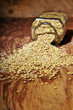 lentils