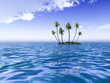 Palms