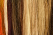 mèches de cheveux