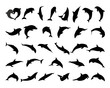 Dolphin Silhouettes