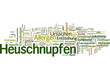 Heuschnupfen