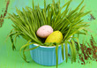 Easter eggs in bowl with grass on green wooden table close up