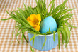 Easter egg in bowl with grass on table close up