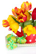 Easter composition with fresh tulips and easter eggs isolated