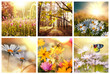 Photo: Flowers collage Flowers collage