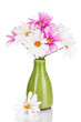 Beautiful daisies in colorful vase isolated on white