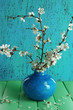 Flowering branches in vase on turquoise wooden background