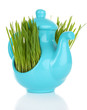 Green grass in decorative pot isolated on white