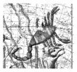 Astrology/Astronomy - Sky Map : Scorpion