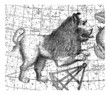 Astrology/Astronomy - Sky Map : Leo - Lion - Löwe