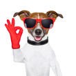 ok fingers dog
