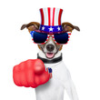 usa american dog