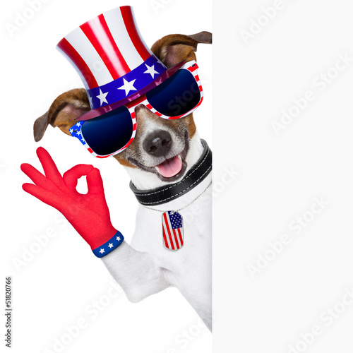 Photo: usa american dog usa american dog