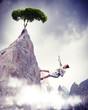 businesswoman climbing mountain