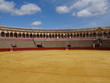 Sévilla, El Arenal