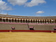 Sévilla, El Arenal