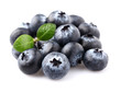 Blueberry with leaf