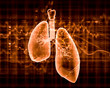 Schematic illustration of human lungs