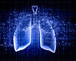 Schematic illustration of human lungs