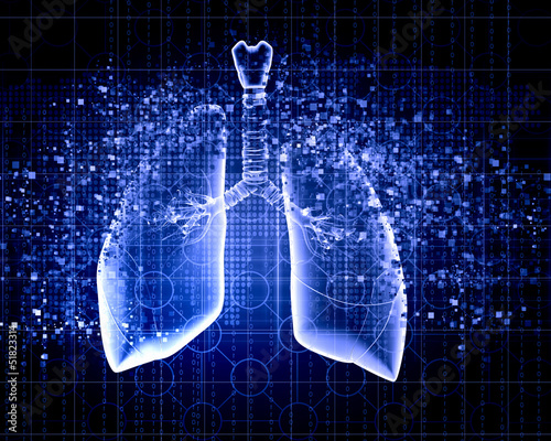 Illustration: Schematic illustration of human lungs Schematic illustration of human lungs