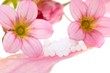 Foto: Globuli mit Blüten Globuli mit Blüten