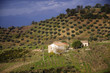 Calabria