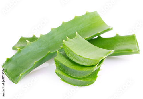 Photo: Aloe vera Aloe vera