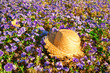 Straw hat on a field of purple pansies with a butterfly