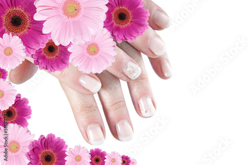 Photo: schöne gepflegte Fingernägel und Gerbera Blüten schöne gepflegte Fingernägel und Gerbera Blüten
