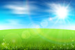 Summer field
