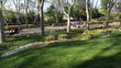 Video: people walking in the park people walking in the park