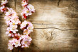 Foto: Spring Blossom over wood background Spring Blossom over wood background