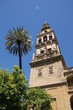 Patio de los naranjos, Cordoue