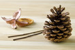 Still life - pine cone