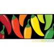 "Feliz Cinco de Mayo" (Happy 5th of May) card