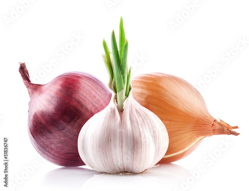 Photo: Garlic and onion isolated on white background Garlic and onion isolated on white background