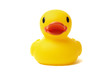 Rubber Duck