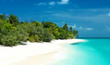 tropischer Strand auf den Malediven