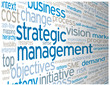 STRATEGIC MANAGEMENT Tag Cloud (leadership performance success)