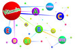 The structure of the vitamin