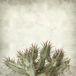 Photo: textured old paper background textured old paper background