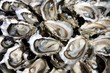 Foto: huîtres ouvertes sur un plat huîtres ouvertes sur un plat