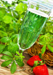 Photo: Waldmeister - Bowle Waldmeister - Bowle
