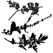 Vector: tree branches in flower bird starling tree branches in flower bird starling