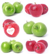 Fresh apple