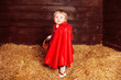 Lovely girl walking on pile of straw with a basket. Little Red R