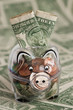 Piggy Bank and Dollars