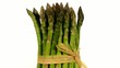 Video: asparagus on white background asparagus on white background